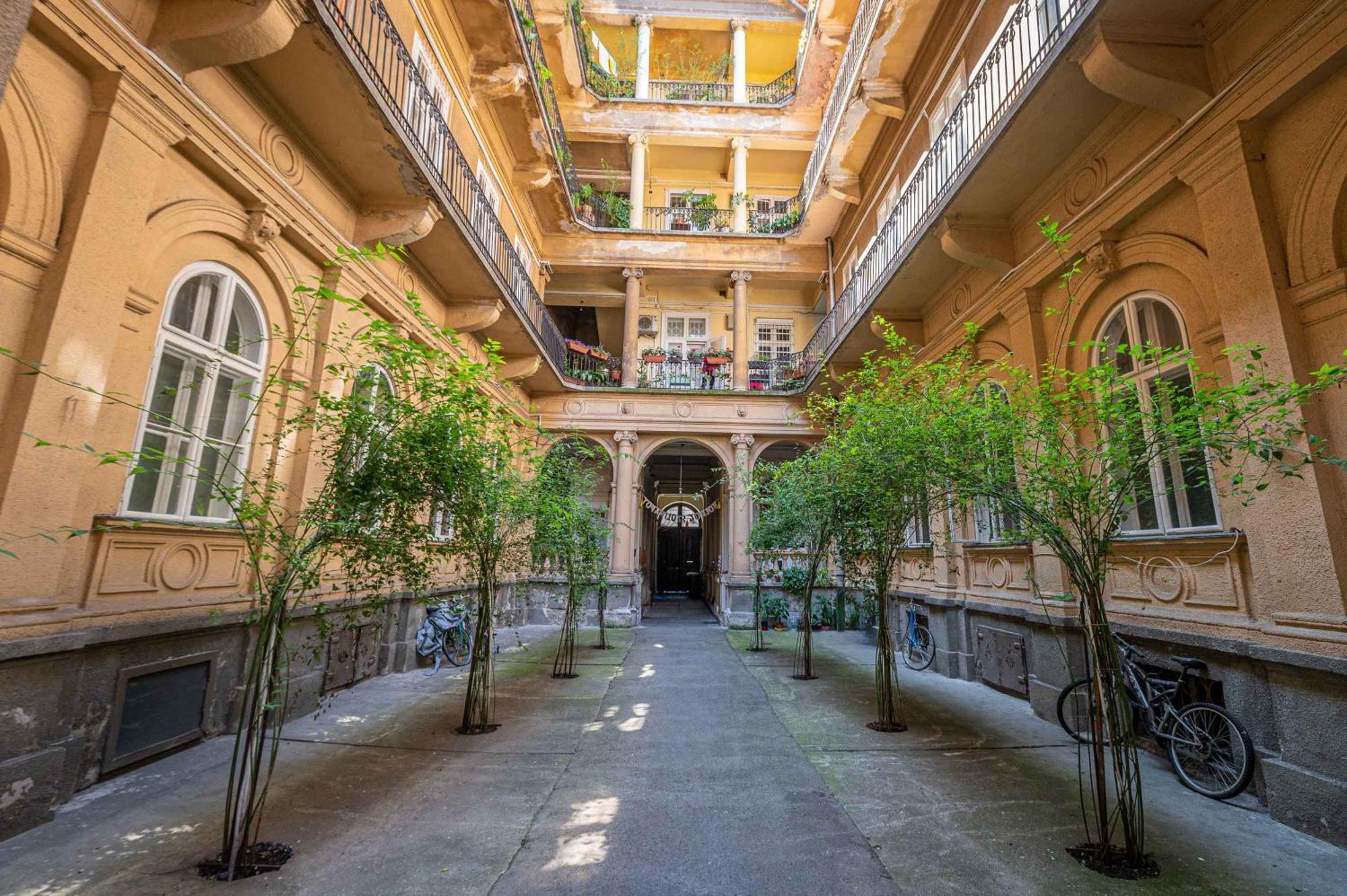 Apartment Gem In The Center